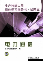 电力通信