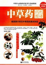 中草药识别图谱