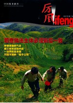厉风 中国税务稽查 2007年 第2辑