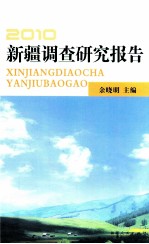 2010新疆调查研究报告