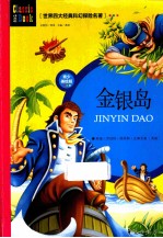 金银岛 青少美绘版