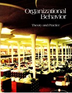 ORGANIZATIONAL BEHAVIOR:THEORY AND PRACTICE