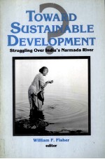 toward sustainable development struggling over india's narmada river