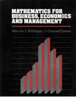 MATHEMATICS FOR BUSINESS ECONOMICS AND MANAGEMENT