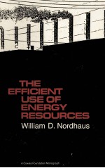 THE EFFICIENT USE OF ENERGY RESOURCES