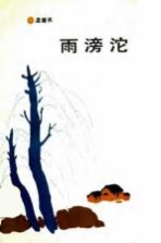 雨滂沱 小说散文选集