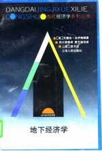 地下经济学