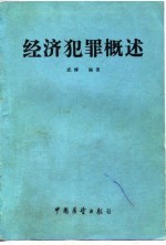 经济犯罪概述