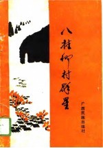 八桂乡村群星