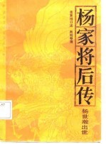 杨家将后传 杨士瀚出世