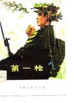 第一枪 短篇小说集