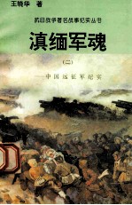滇缅军魂:中国远征纪实 2