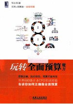 玩转全面预算魔方 实例 图解版