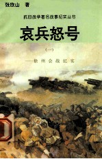 哀兵怒号:徐州会战纪实 1