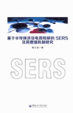 基于半导体涉及电荷转移的SERS及其增强机制研究