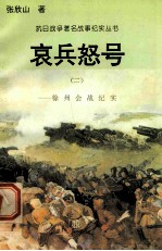哀兵怒号:徐州会战纪实 2