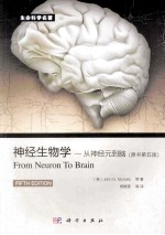 神经生物学 从神经元到脑 原书第5版