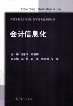 会计信息化