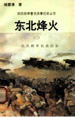东北烽火:抗日联军抗战纪实 2