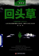 回头草