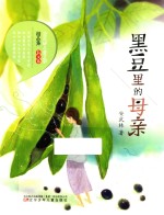 安武林儿童文学精品集 黑豆里的母亲