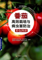 轻松学技术丛书 番茄高效栽培与病虫害防治彩色图谱