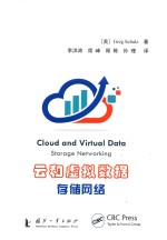 云和虚拟数据存储网络