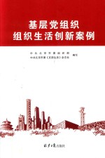 基层党组织组织生活创新案例