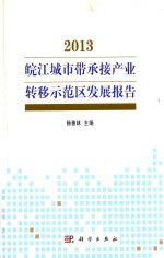 2013 皖江城市带承接产业转移示范区发展报告