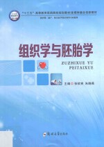 组织学与胚胎学
