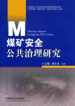 煤矿安全公共治理研究
