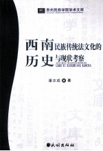 西南民族传统法文化的历史与现状考察