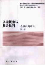 多元视角与社会批判 今日批判理论 上