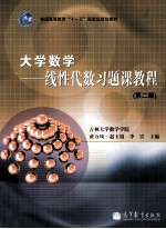 大学数学 线性代数习题课教程 第2版