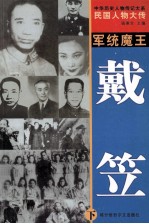 中华历史人物传记大系 民国人物大传 军统魔王·戴笠 下