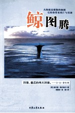鲸图腾 上