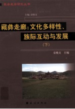 藏彝走廊 文化多样性、族际互动与发展 下