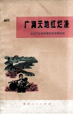 广阔天地红烂漫 上山下乡知识青年先进世纪选