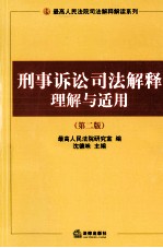 刑事诉讼司法解释理解与适用 第2版