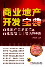商业地产开发宝典 商业地产策划定位与商业规划设计要诀800