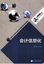 会计信息化