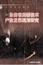 云南省高新技术产业发展规划研究
