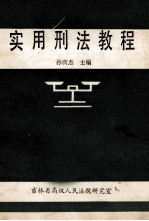 实用刑法教程