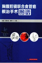 胸腹腔镜联合食管癌根治手术图谱