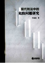 现代刑法中的危险问题研究