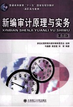 新编审计原理与实务 第4版