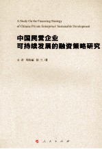 中国民营企业可持续发展的融资策略研究