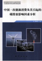 中国一次能源消费及其引起的碳排放影响因素分析