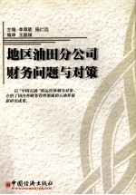 地区油田分公司财务问题与对策
