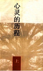 心灵的历程 上